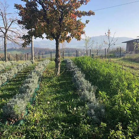 Chalet La Baita Nei Boschi *