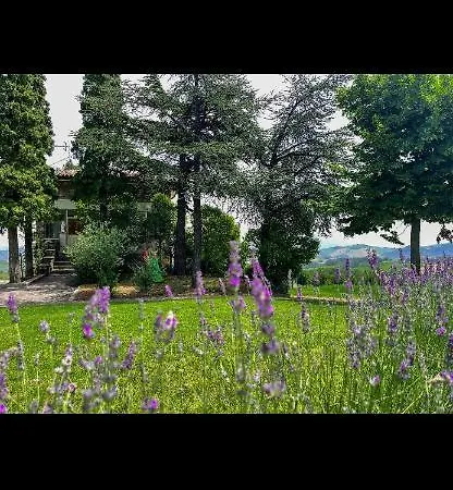 La Baita Nei Boschi Serramazzoni