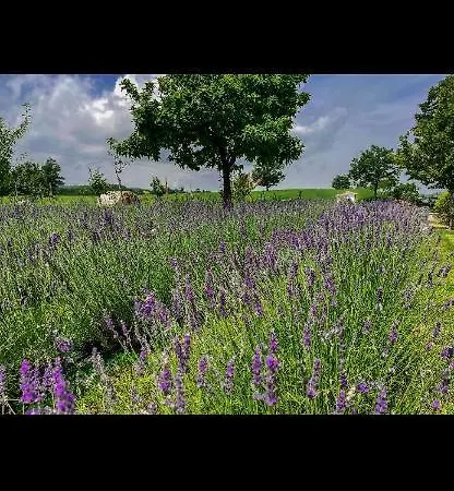 La Baita Nei Boschi * Serramazzoni