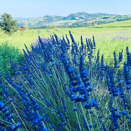 La Baita Nei Boschi * Serramazzoni