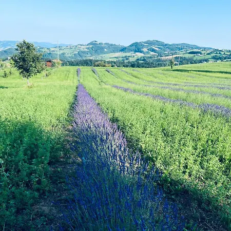 La Baita Nei Boschi *