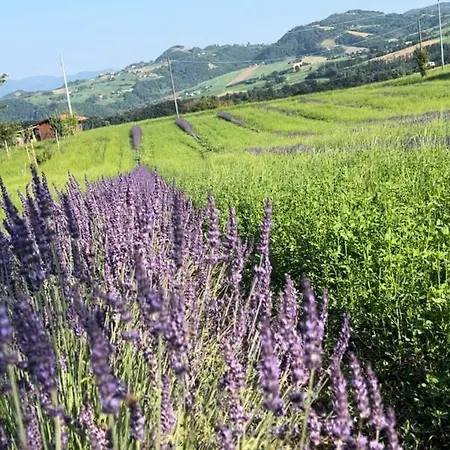 La Baita Nei Boschi Serramazzoni