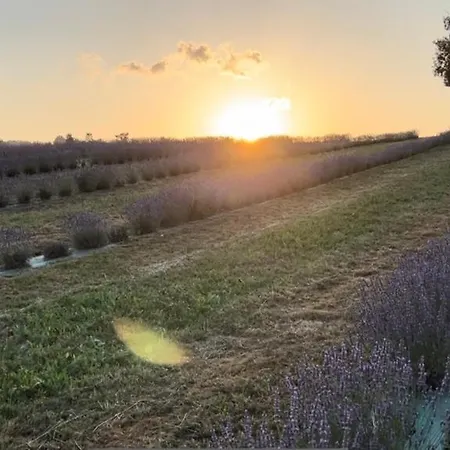 La Baita Nei Boschi *