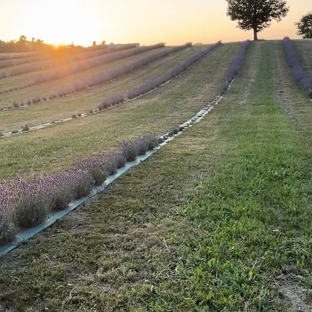 Chalet La Baita Nei Boschi