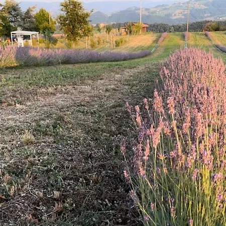 Chalet La Baita Nei Boschi