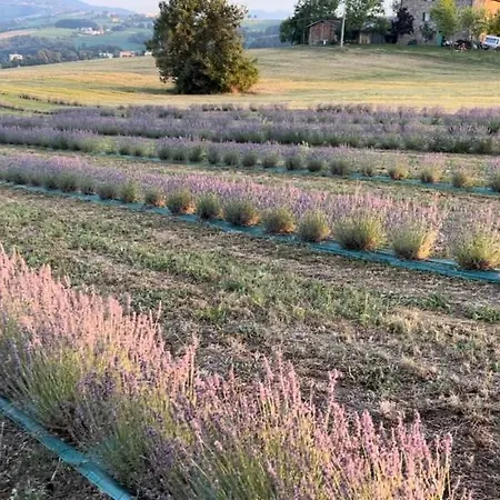 La Baita Nei Boschi Serramazzoni