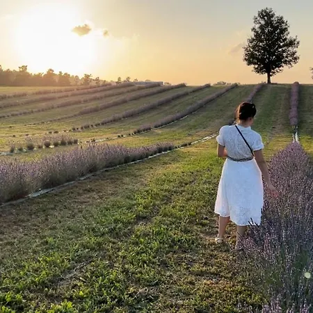 Chalet La Baita Nei Boschi *