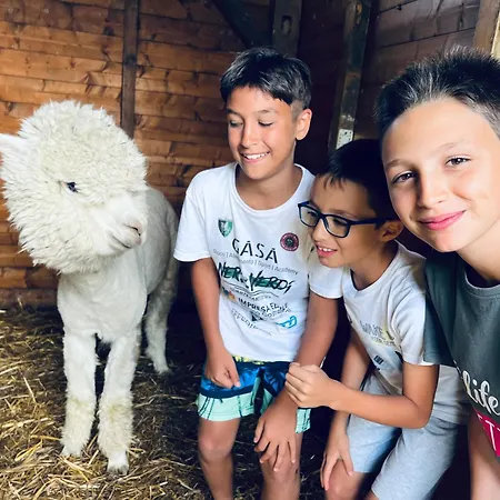 Chalet La Baita Nei Boschi