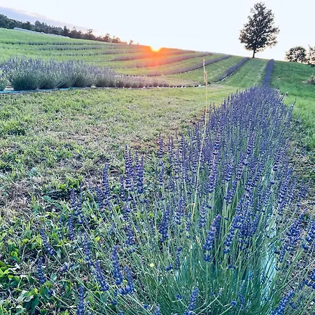 La Baita Nei Boschi Chalet *