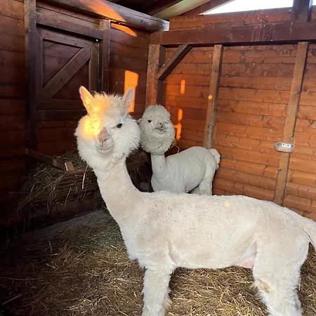 La Baita Nei Boschi Chalet Serramazzoni