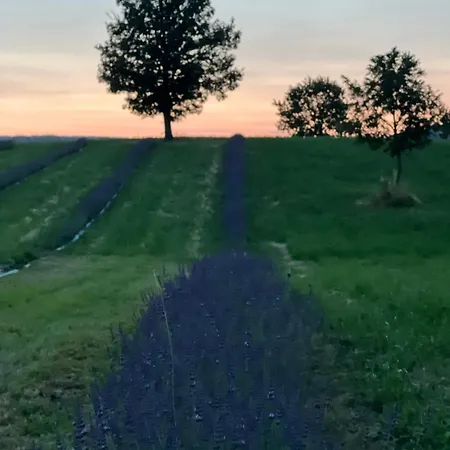 Chalet La Baita Nei Boschi Serramazzoni