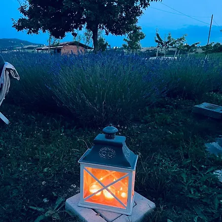 La Baita Nei Boschi Chalet