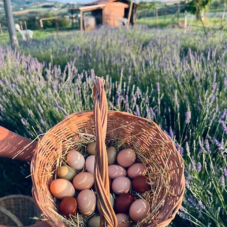 La Baita Nei Boschi Chalet Serramazzoni