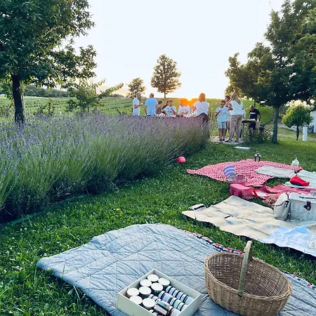 Chalet La Baita Nei Boschi Serramazzoni