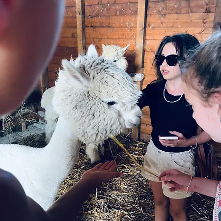 La Baita Nei Boschi Chalet