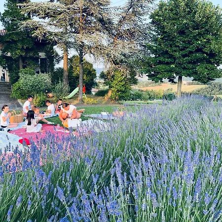 La Baita Nei Boschi Chalet *