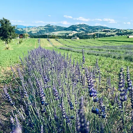 La Baita Nei Boschi Chalet