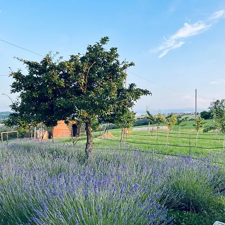 La Baita Nei Boschi Chalet